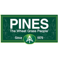 Pines International